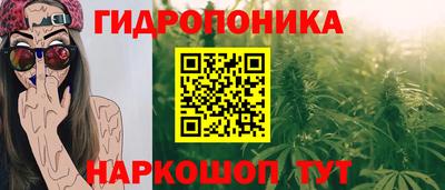 герыч Бийск