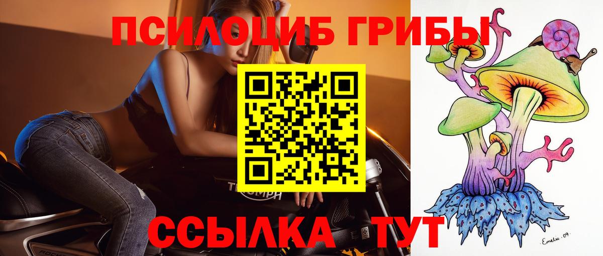 Борисоглебск  Галлюциногенные грибы Psilocybe  Вход с VPN  Галлюциногенные грибы Psilocybine cubensis 